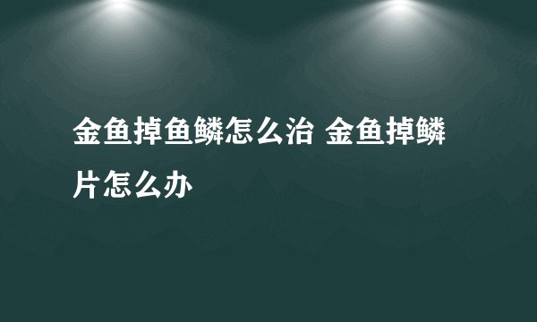 金鱼掉鱼鳞怎么治 金鱼掉鳞片怎么办