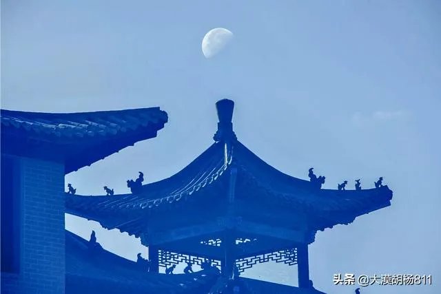 家用数码相机什么牌子好?
