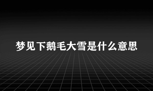 梦见下鹅毛大雪是什么意思