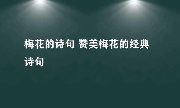 梅花的诗句 赞美梅花的经典诗句