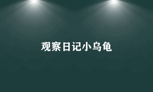 观察日记小乌龟