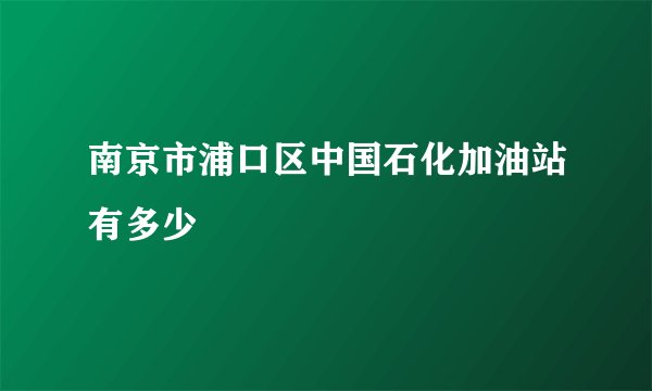 南京市浦口区中国石化加油站有多少