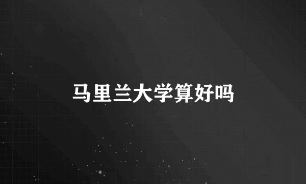 马里兰大学算好吗