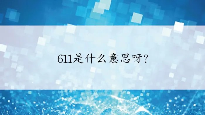 611是什么意思呀？
