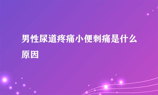 男性尿道疼痛小便刺痛是什么原因