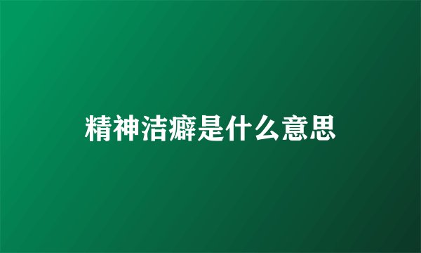 精神洁癖是什么意思