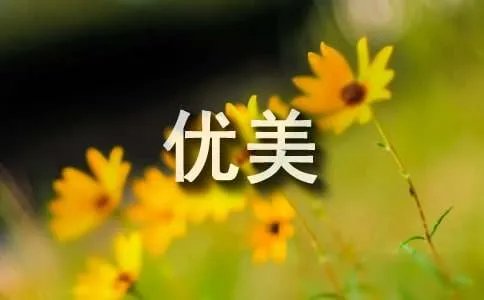 描写雨的优美语句