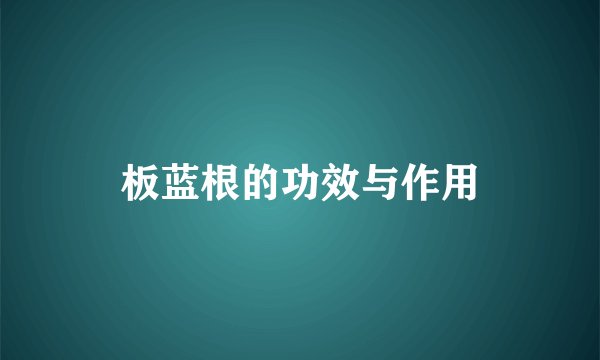 板蓝根的功效与作用