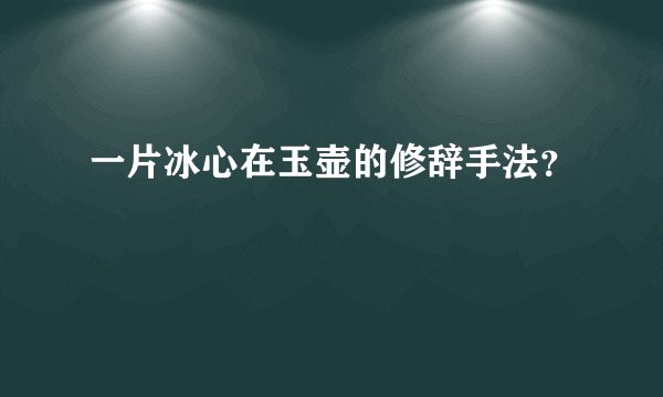 一片冰心在玉壶的修辞手法？