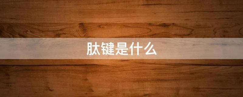 肽键是什么