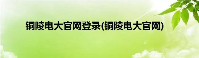 铜陵电大官网登录(铜陵电大官网)