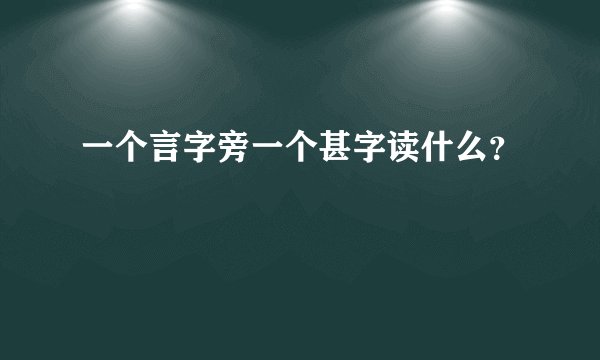 一个言字旁一个甚字读什么？