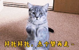 IG新教练“物理属性”曝光,身高193的跆拳道高手,面相“是个狠人”,他能管好IG吗?