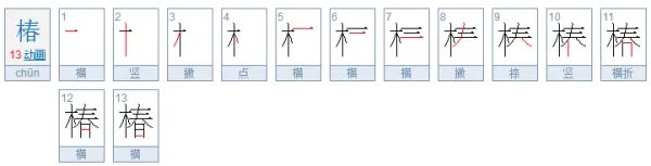 椿代表什么