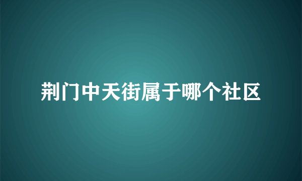 荆门中天街属于哪个社区