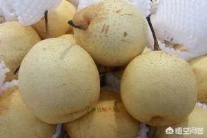 邯郸市有什么特产?