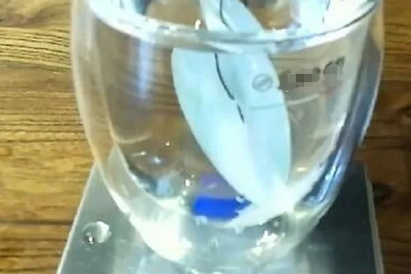一杯水如何鉴别翡翠?