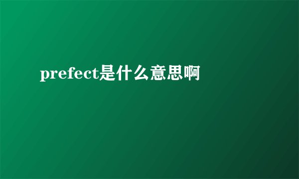 prefect是什么意思啊