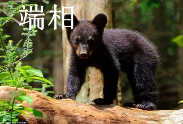 打量的近义词