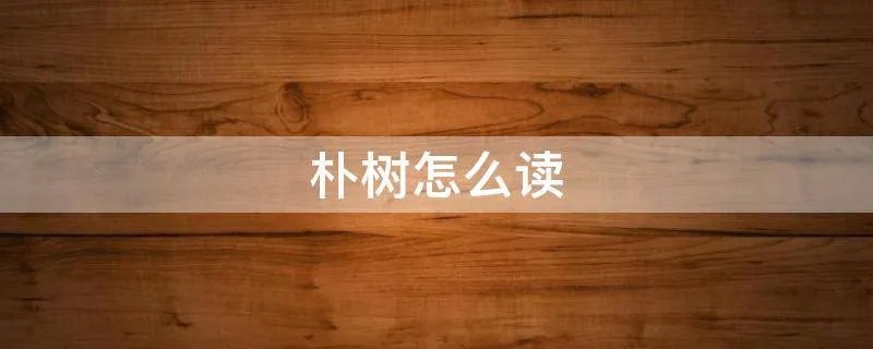 朴树怎么读