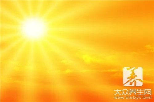 蜂王浆的功效与作用是什么？