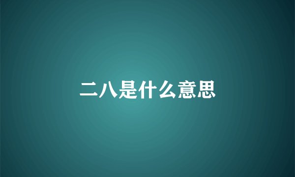 二八是什么意思