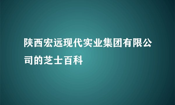 陕西宏远现代实业集团有限公司的芝士百科