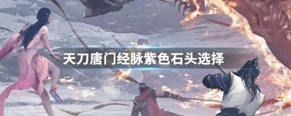 天刀唐门经脉紫色石头选择