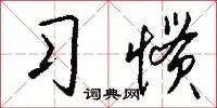 习惯