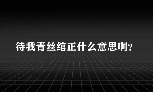待我青丝绾正什么意思啊？
