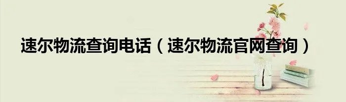 速尔物流查询电话（速尔物流官网查询）