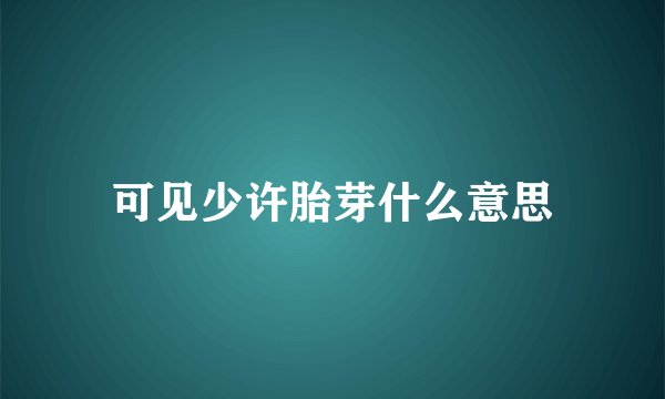可见少许胎芽什么意思