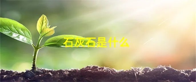 石灰石是什么