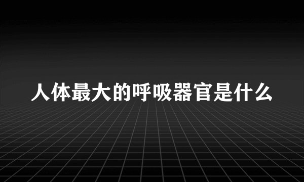 人体最大的呼吸器官是什么