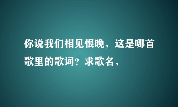 你说我们相见恨晚,这是哪首歌里的歌词?求歌名,