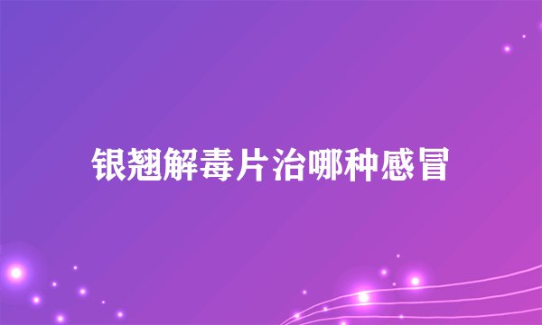 银翘解毒片治哪种感冒