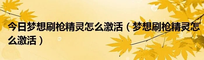 今日梦想刷枪精灵怎么激活（梦想刷枪精灵怎么激活）