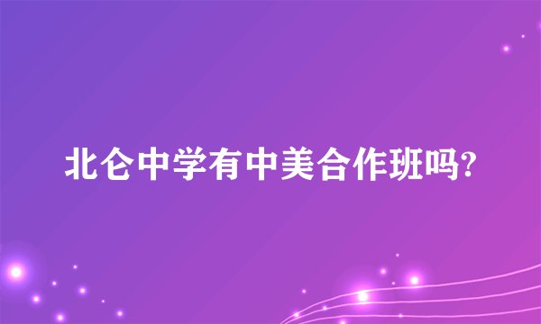 北仑中学有中美合作班吗?