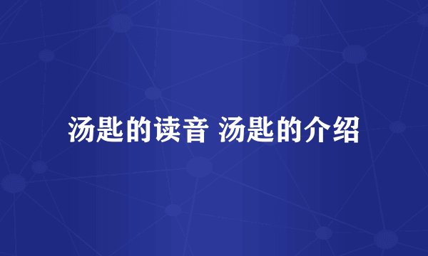 汤匙的读音 汤匙的介绍