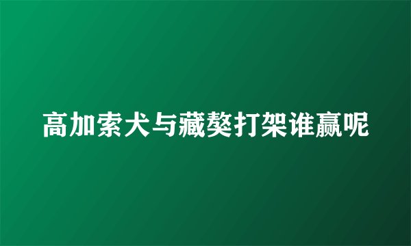 高加索犬与藏獒打架谁赢呢