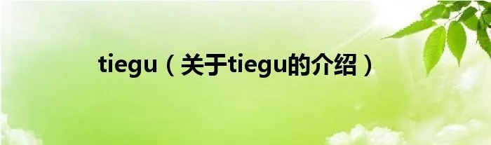 tiegu（关于tiegu的介绍）