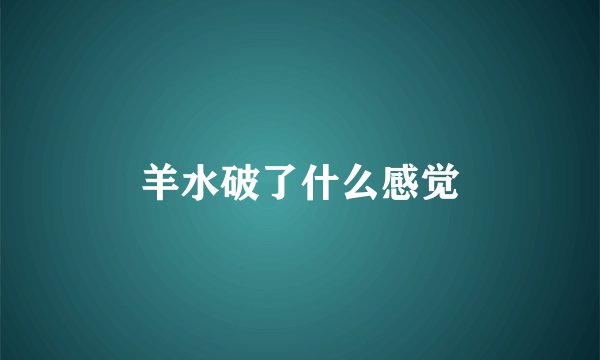 羊水破了什么感觉