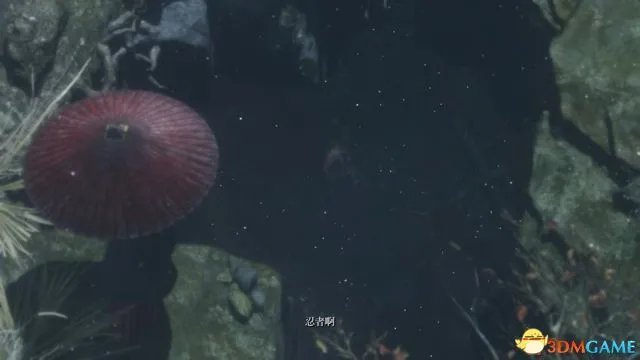 《只狼:影逝二度》图文全剧情流程+Boss打法+全收集+全地图指引