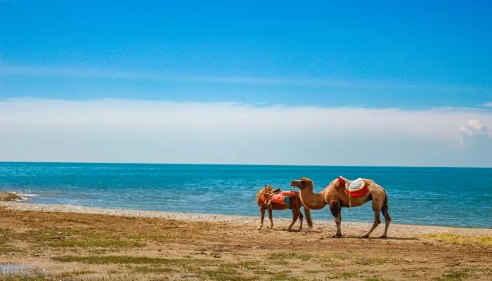 青海湖海拔多少米