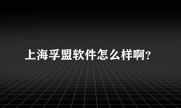 上海孚盟软件怎么样啊？