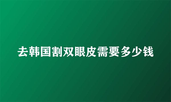 去韩国割双眼皮需要多少钱
