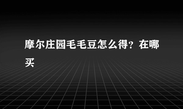 摩尔庄园毛毛豆怎么得？在哪买