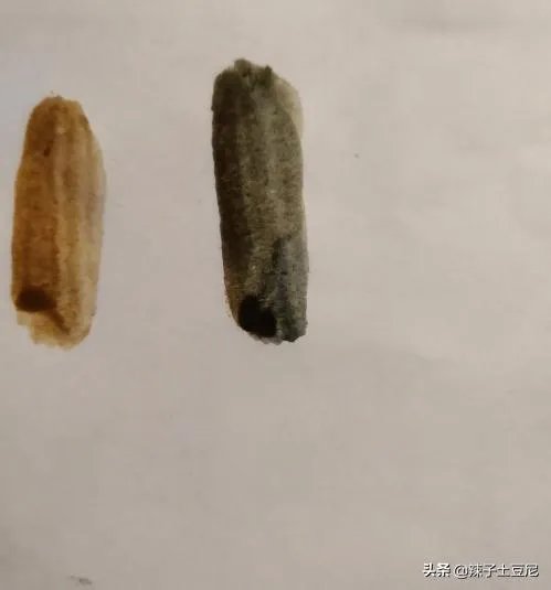 冷棕色怎么调?