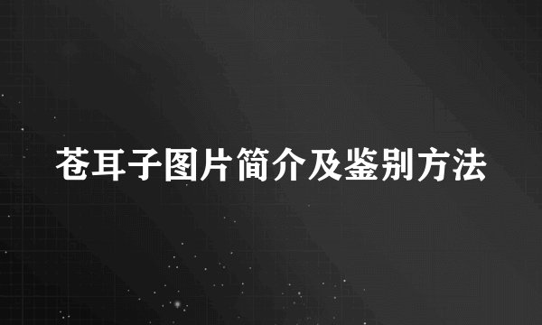 苍耳子图片简介及鉴别方法