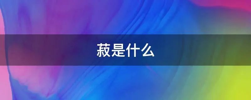 菽是什么